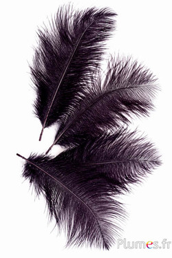 Struzzo - 13-18 cm - nero